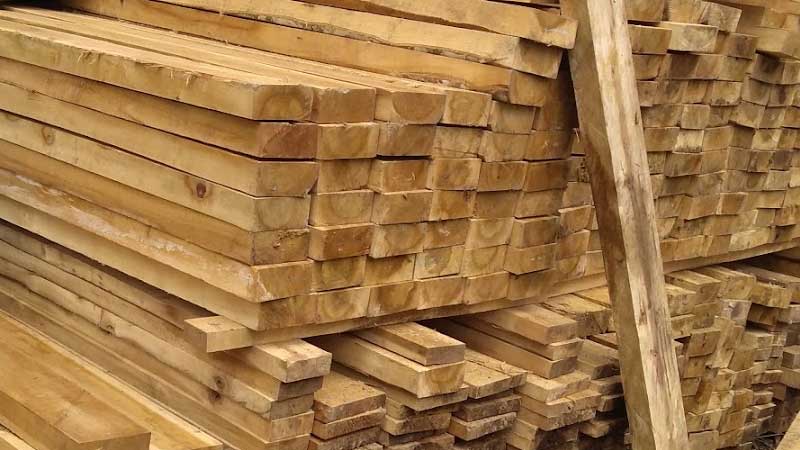 ciri-ciri kayu manglid