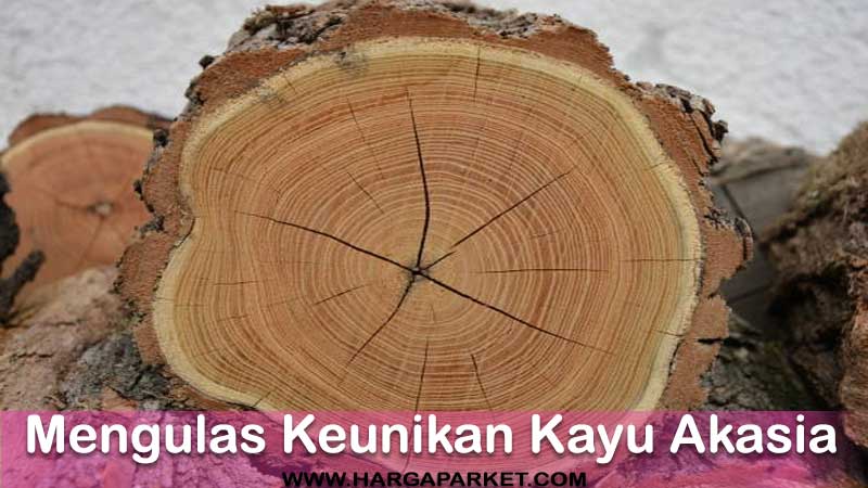 mengulas keunikan kayu akasia di Indonesia