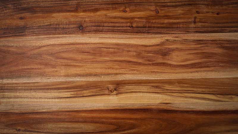 mengenal karakteristik kayu akasia
